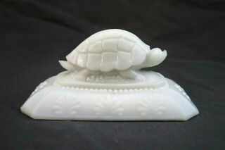 Antique Old Westmoreland Milk Glass Figural Turtle Bowl Or Dish Lid Vtg