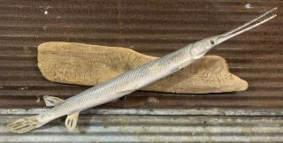 Vtg 34 " Real Skin Gar Pike Taxidermy Mount Northern Michigan Fish On Wood