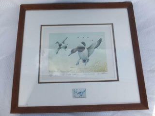 1976 Maryland Duck Stamp And Print: Canvasbacks By Louis Frisino
