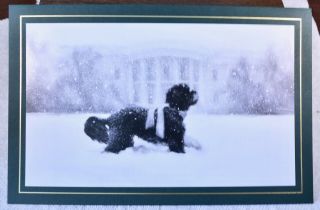 2012 Obama White House Christmas Card W/ Envelope