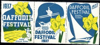 1937 Daffodil Festival Tacoma Washington Great Strip Of 3 Poster Stamp