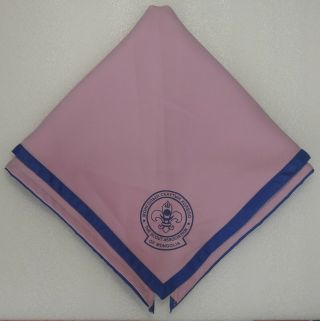 Mongolia Boy Scouts Logo Scarf Neckerchief Pink Blue