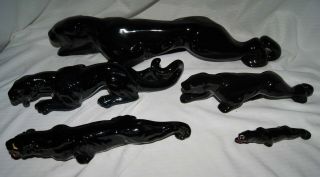 5 Vintage Mid - Century Crouching Stalking Ceramic Black Panther Figures 5 " - 21 "