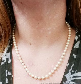 Vintage 6.  5mm Cultured Akoya Pearl 18.  5in Strand Necklace White Gold Clasp