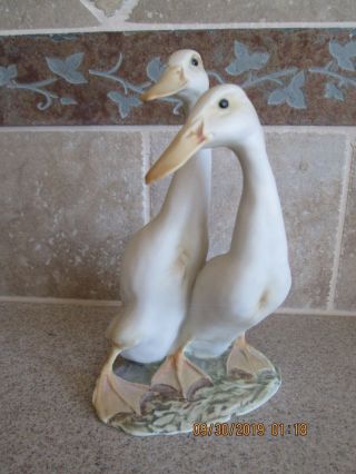 Kaiser Porcelain Ducks Hand Painted Bisque 523 Signed By Artist -