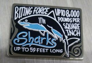 Sea World Busch Gardens Pin Trading Chalk Art Mystery Pin Great White Shark