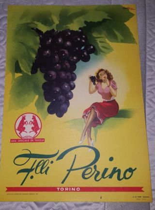 Vintage 1951 Grape Sign Poster - Torino - Italy - 13 " X 9 " - Wine