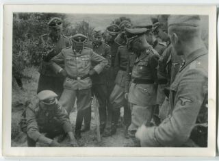 German Wwii Photo: Group Of Officers,  Agfa Brovira Paper