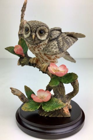 Country Artists Owl W/ Apple Blossom Figurine Sculpture Broadway Birds Nib