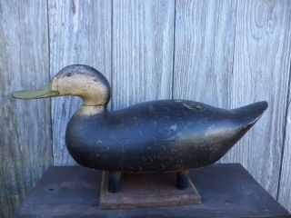 Mason Premier Grade Black Duck Decoy With Ink Stamp Paint Snakey Head