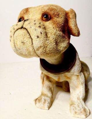 Vintage Paper Mache Bobble Head Bulldog Dog Nodder 7.  5 X 11 " Japan