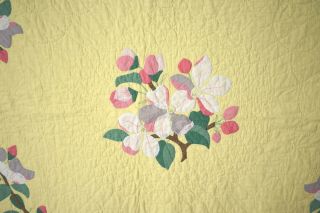 WELL QUILTED Vintage 30 ' s Apple Blossom Applique Antique Quilt YELLOW 2