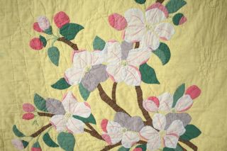 WELL QUILTED Vintage 30 ' s Apple Blossom Applique Antique Quilt YELLOW 3
