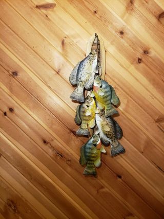 Crappie,  Bluegill,  Sunfish Wood Carving Fish Taxidermy Fish Decoy Casey Edwards