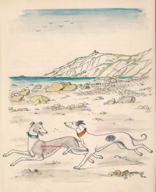 Greyhound Dogs Racing On The Beach Rare Vintage Art Print 1950 Awesome