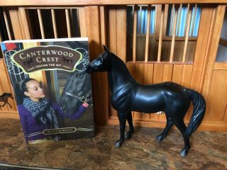 Breyer 6172 Canterwood Crest Black Jack Book And Horse Set