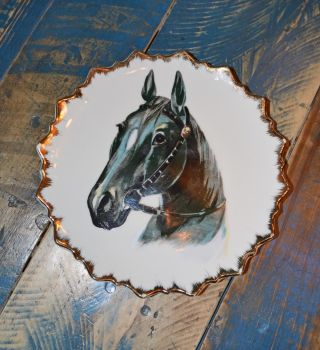 Vintage Retro Sweet Hand Painted Black Horse Portrait Decorative Plate