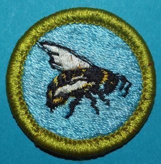 Beekeeping Type H Merit Badge - Plastic Back - Boy Scouts - 10074