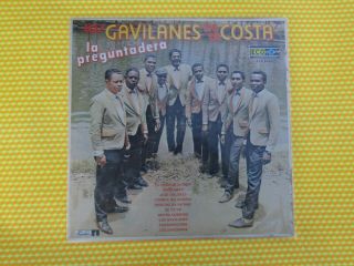 Los Gavilanes De La Costa Dame Cafe Monster Cumbia Heavy Acordeon Killer Album