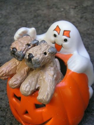 Soft Coated Wheaten Terrier Puppies In A Pumpkin Wtih Ghost