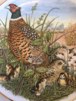 Southern Living Gallery.  Ring - Necked Pheasant.  Collector Plate - Game Birds