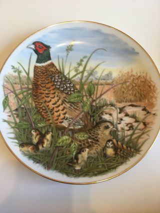 Southern Living Gallery.  RING - NECKED PHEASANT.  Collector Plate - Game Birds 2