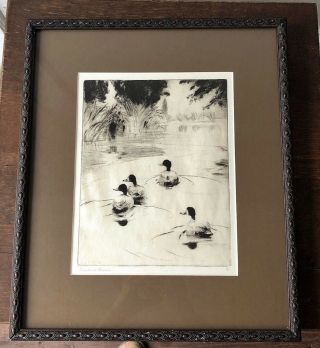 Frank Benson Framed,  Signed Sporting Art Drypoint Etching - Broadbills,  1919