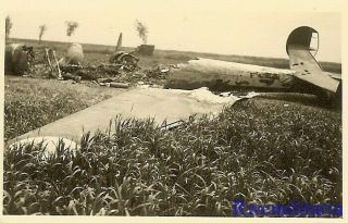 Total Loss German View Shot Down French Potez 633 Bomber In Field; 1940