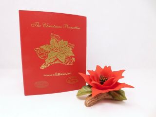 Roman Inc.  The Christmas Poinsettia Porcelain Bisque Flower With Story & Box