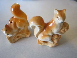 Vtg.  Squirell Japan Salt/pepper Shakers Cute With Cork Stoppers
