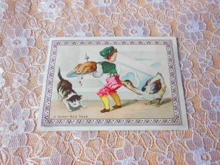 Victorian Year Card/goodall/boy Pecked By Goose/cat Eating Turkey Scraps