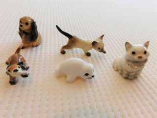 5 Hagen Renaker Porcelain Animal Miniatures Cat Kitten Dog Puppy Baby Harp Seal