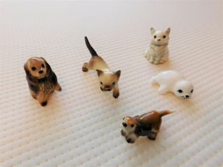5 Hagen Renaker Porcelain Animal Miniatures Cat Kitten Dog Puppy Baby Harp Seal 2