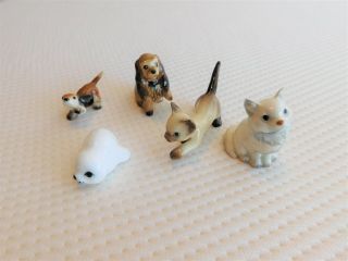 5 Hagen Renaker Porcelain Animal Miniatures Cat Kitten Dog Puppy Baby Harp Seal 3