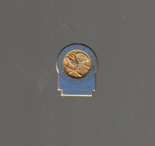 [45644] Undated Pin National Rifle Association (nra) Five Year Member