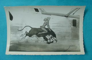 Wwii Us Army Air Force Bomber Nose Art Photo Girl On Bull