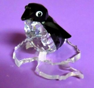 Swarovski Penguin On Iceberg Crystal Figurine A 7661 Nr 000 002 In Canister (sw6)