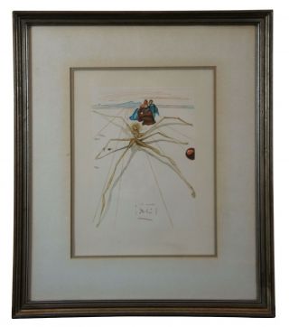 Salvador Dali Arachne Woodcut Print Purgatory Chant 17 Divine Comedy Framed
