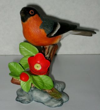 Bullfinch Porcelain Figurine - Franklin " Birds And Blossoms Of The World "