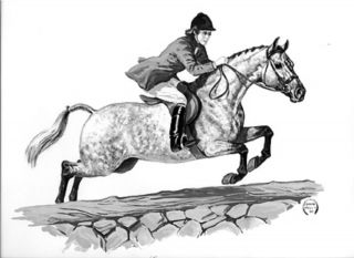 Rare Connemara Show Pony Jumper Hunt Jeanne Mellin Vntage Horse Art Print 1965