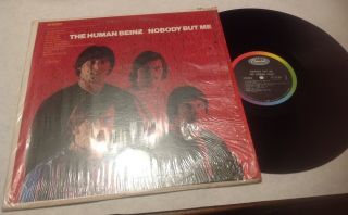 The Human Beinz - Nobody But Me Vinyl Lp 1968 Steel In Shrink Psych