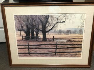 Peter Keating Framed Limited Edition Willows Signed And Numbered Print
