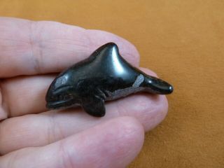 Y - Wha - Ki - 550) Little Baby Black Onyx Killer Whale Orca Gemstone Carving Whales
