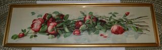 Framed Still Life Of Roses The Pride Of America J.  Califano Yard Long 37.  5 X11.  5