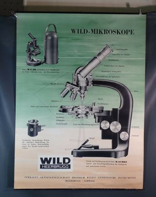 1950s Vtg Swiss Heerbrugg Wild Microscope Scientific M9 M10 Litho Poster 32 " X23 "