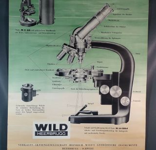 1950s Vtg Swiss Heerbrugg WILD Microscope Scientific M9 M10 Litho Poster 32 