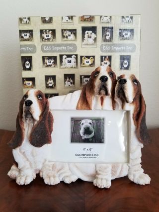 Basset Hound Picture Frame By E & S Imports For A 4 " X 6 " Photo