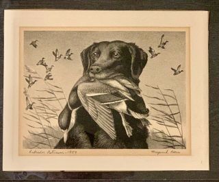 Rw26 Limited Edition 1959 Federal Duck Stamp Print " Old Buck " Previously Framed.
