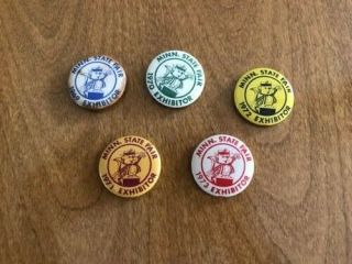 5 Minnesota State Fair Buttons " Exhibitor " 1969,  1970,  1971,  1972,  1873