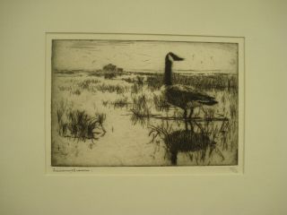 Frank W.  Benson Pencil Signed American Etching,  Lone Goose,  1915,  P42